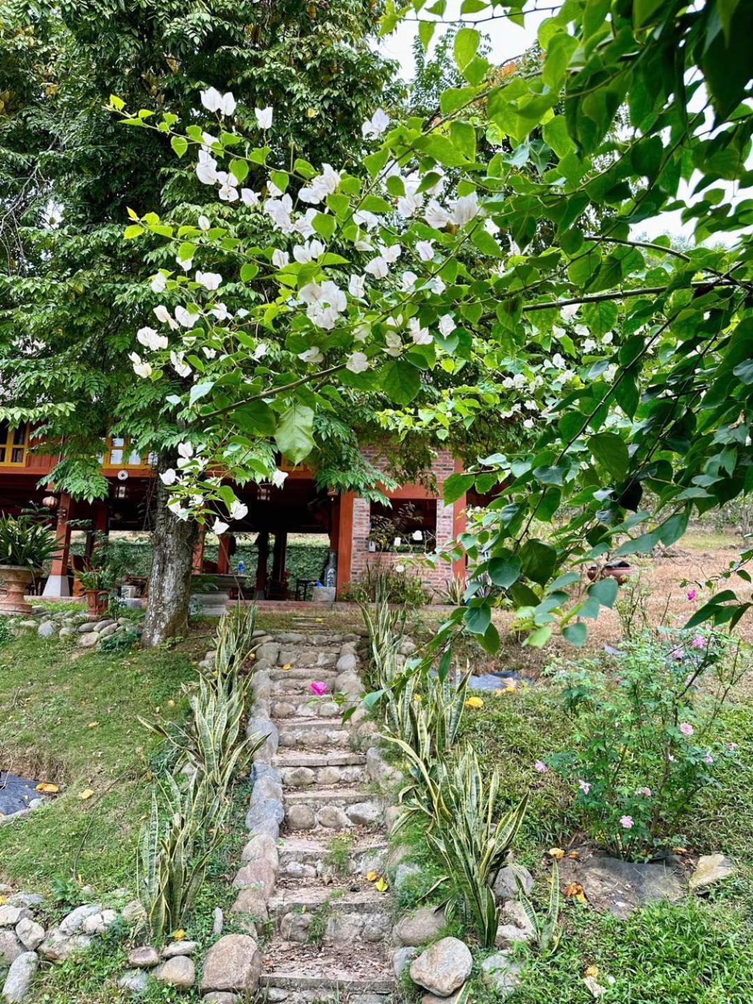 Pai Bjooc Homestay Tuyen Quang Exterior photo