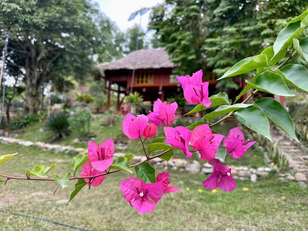 Pai Bjooc Homestay Tuyen Quang Exterior photo